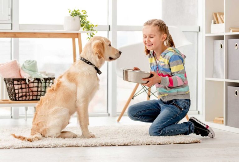 How to Train Your Puppy: A Beginner’s Guide for Pet Parents