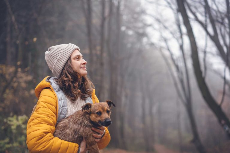 Top 7 Health Issues in Pets and How to Prevent Them Naturally