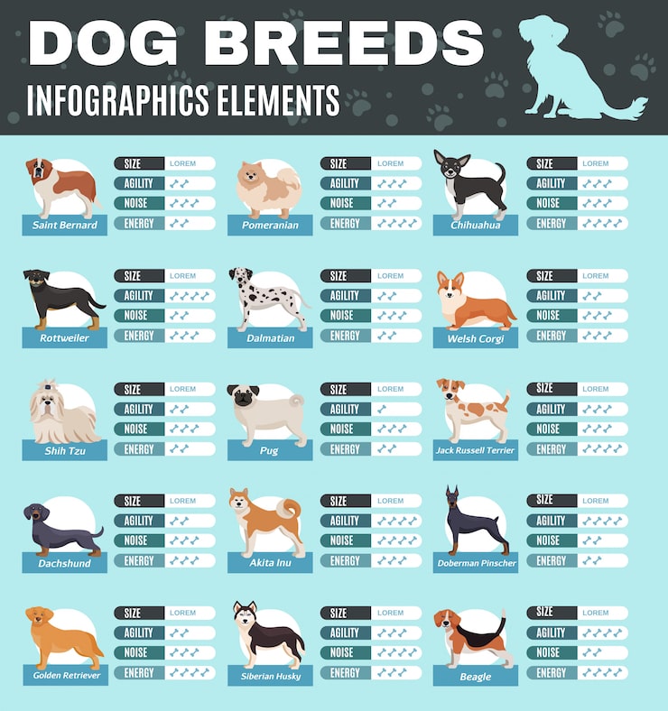 A-Z Dog Breeds