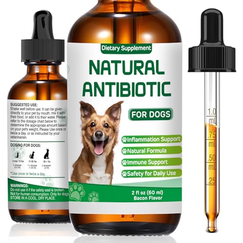 Amoxicillin for Dogs