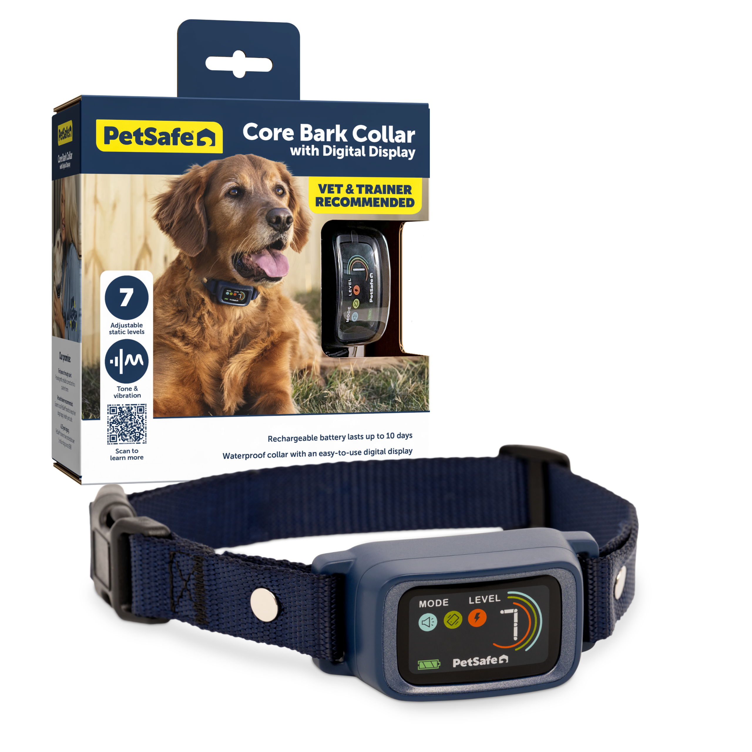 Are Bark Collars Bad for Dogs: Unveiling the Truth