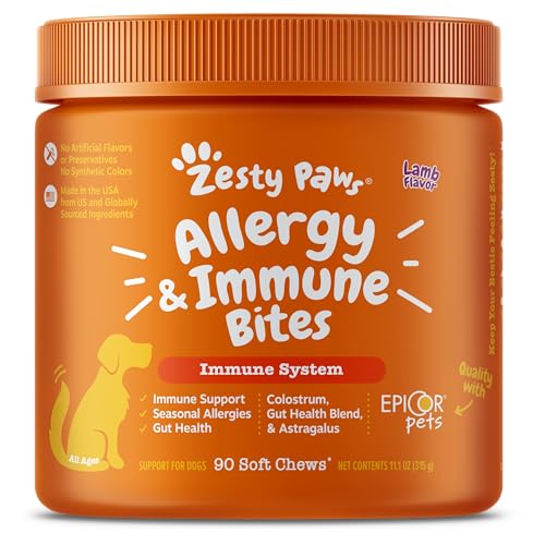Best Allergy Pills for Dogs