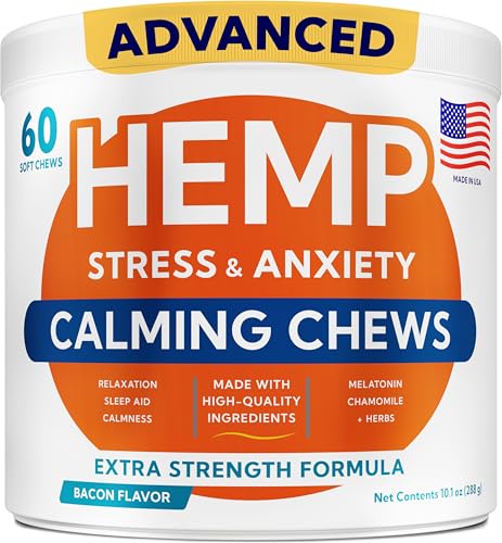 Best Anti Anxiety for Dogs