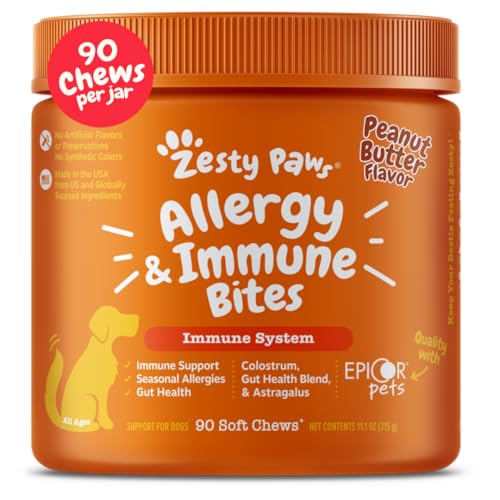 Best Anti Itch Supplements for Dogs