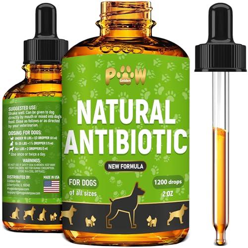 Best Antibiotic for Uti in Dogs