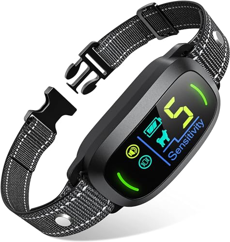 Best Bark Collar for Medium Dogs