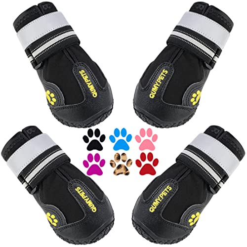 Best Boots for Dogs Winter