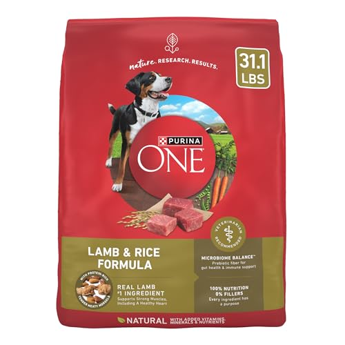 Best Brand Dry Dog Food
