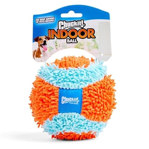 Best Christmas Gifts for Your Dog