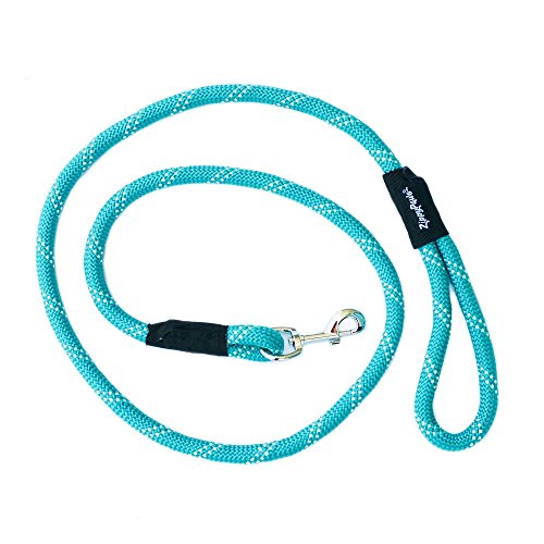 Best Climbing Rope Dog Leash