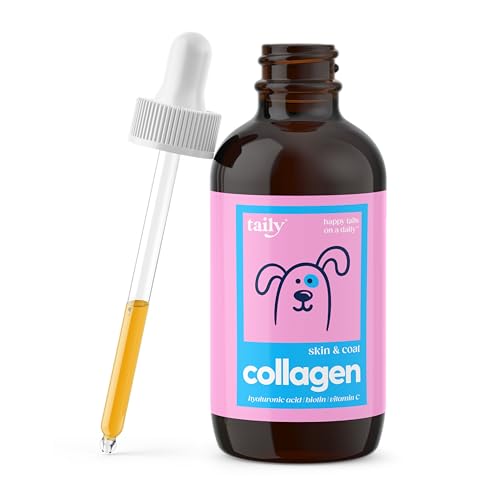 Best Collagen Supplements for Dogs