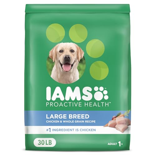 Best Commercial Dog Food