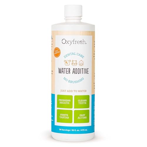 Best Dental Products for Dogs
