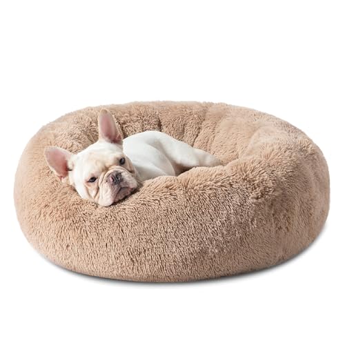 Best Dog Bed for French Bulldog