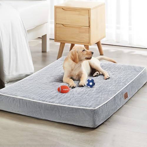 Best Dog Bed for Great Dane