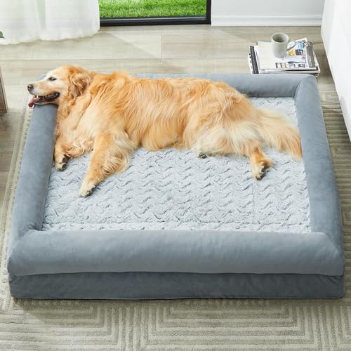 Best Dog Beds for Cane Corso