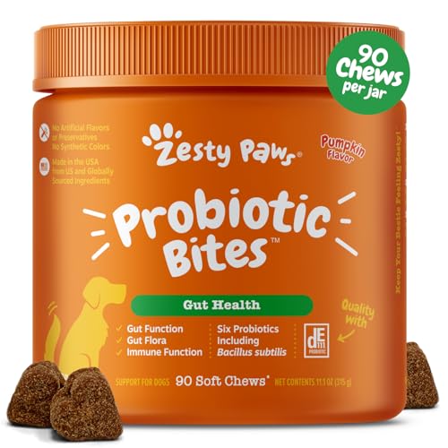Best Dog Digestive Supplement
