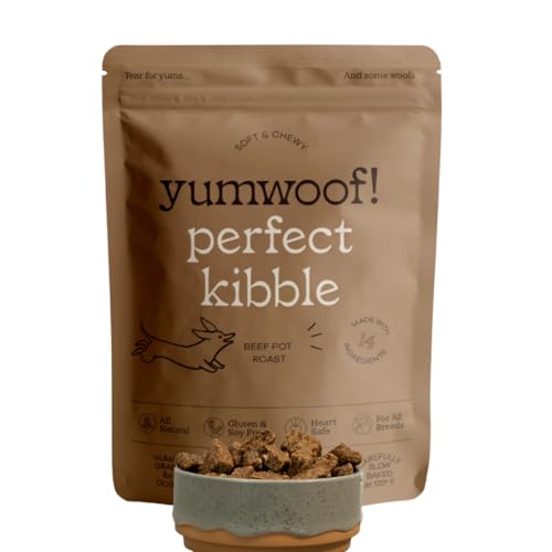 Best Dog Food According to Vets