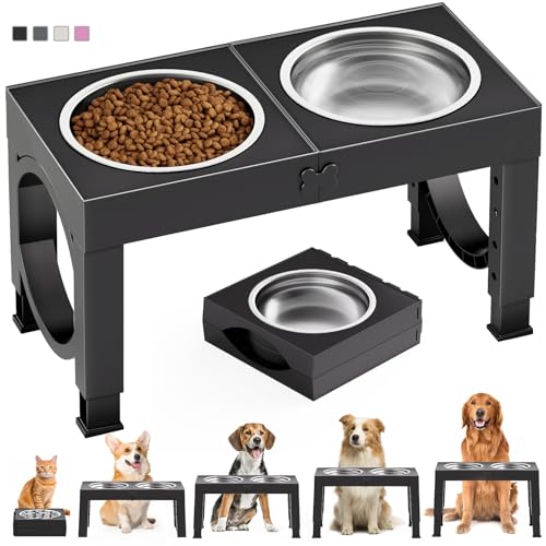 Best Dog Food Bowl