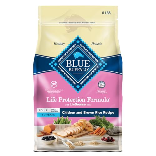 Best Dog Food Brands for Small Dogs