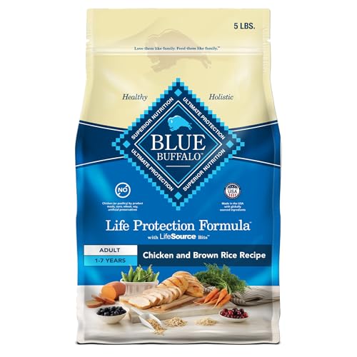 Best Dog Food Delivery Service