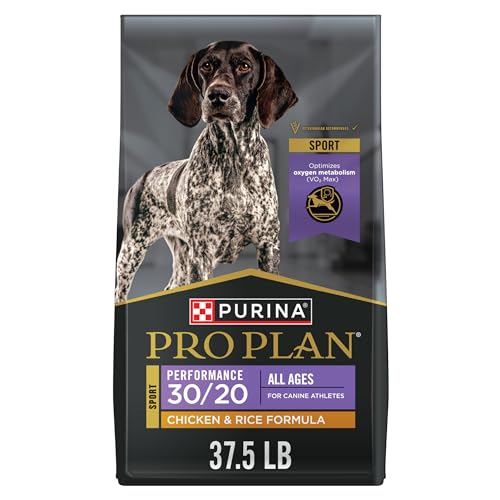 Best Dog Food for Active Dogs