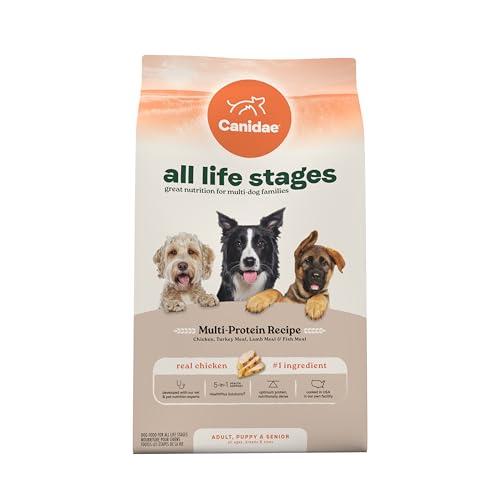 Best Dog Food for All Life Stages