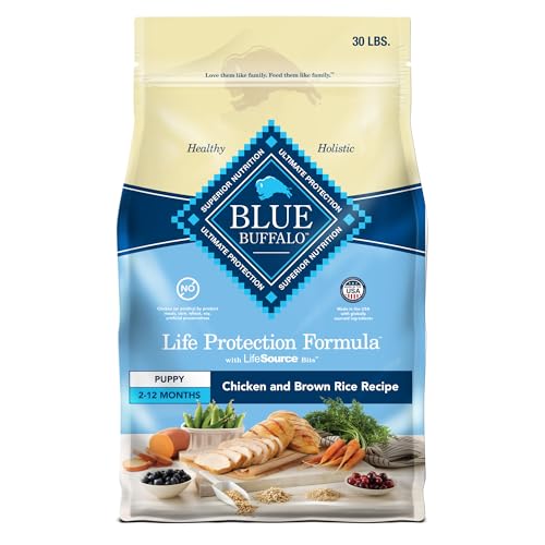 Best Dog Food for Australian Shepherd Puppy