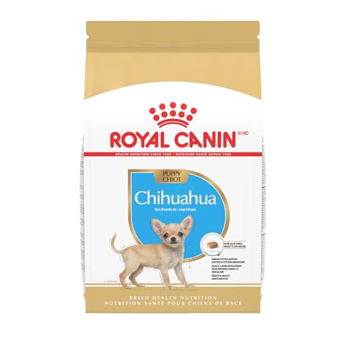 Best Dog Food for Chihuahua Puppy