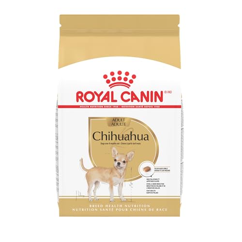 Best Dog Food for Chihuahua Terrier Mix