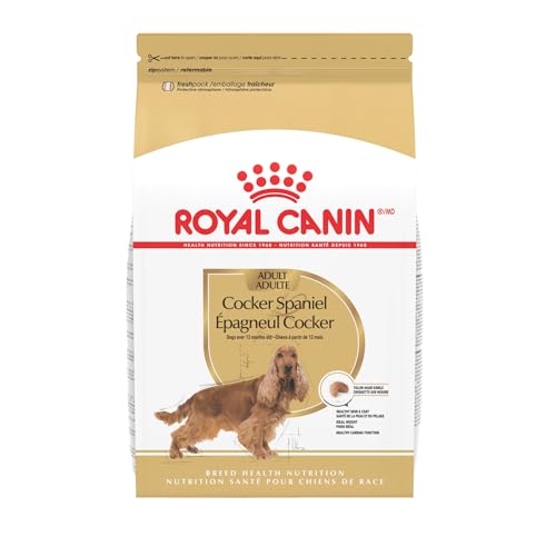 Best Dog Food for Cocker Spaniels