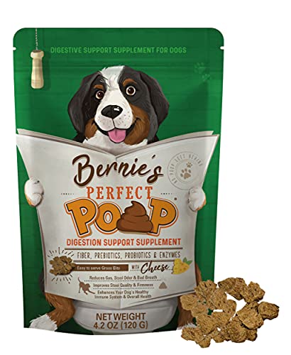 Best Dog Food for Constipation