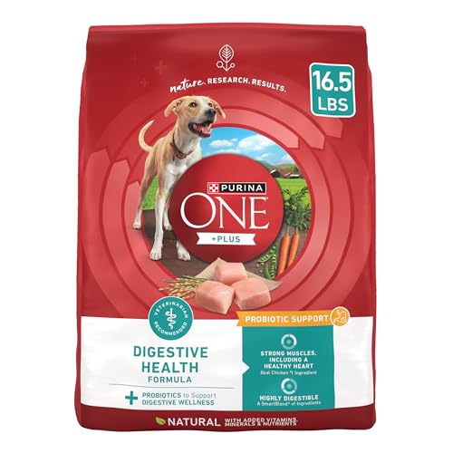 Best Dog Food for Digestion