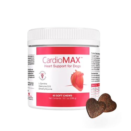 Best Dog Food for Heart Murmur