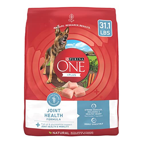 Best Dog Food for Joints