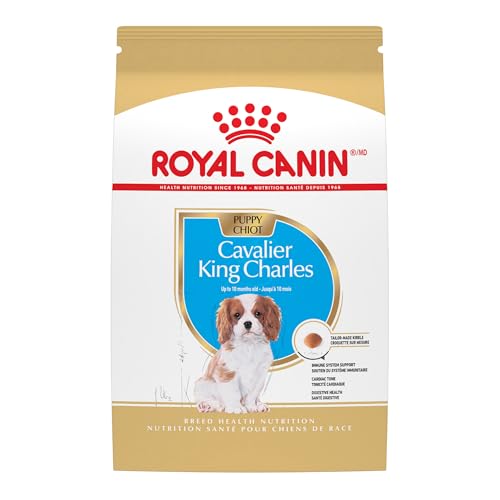 Best Dog Food for King Charles