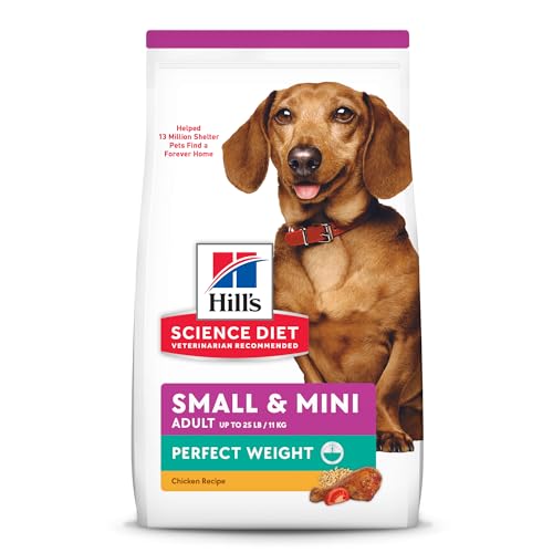 Best Dog Food for Mini Dachshund