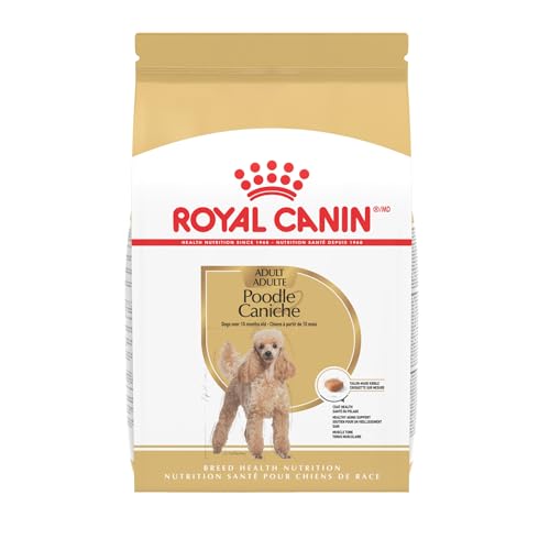 Best Dog Food for Miniature Poodles