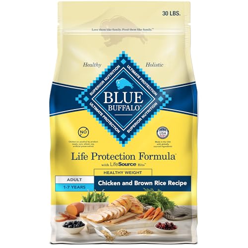 Best Dog Food for Overweight