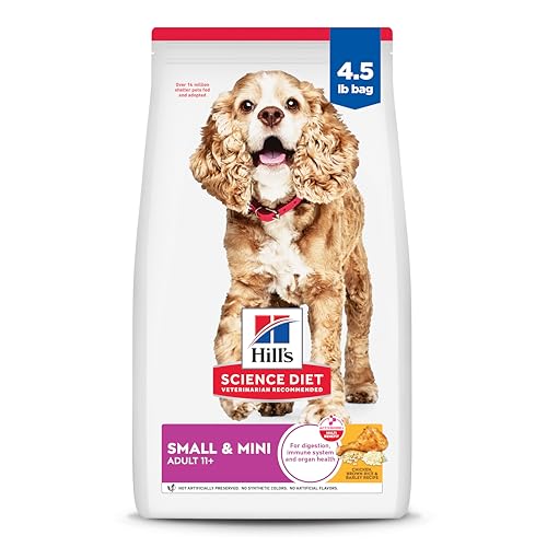 Best Dog Food for Small Senior Dogs