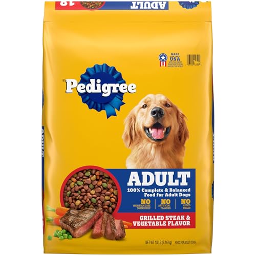 Best Dog Food for the Money