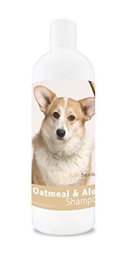 Best Dog Food for Welsh Corgi