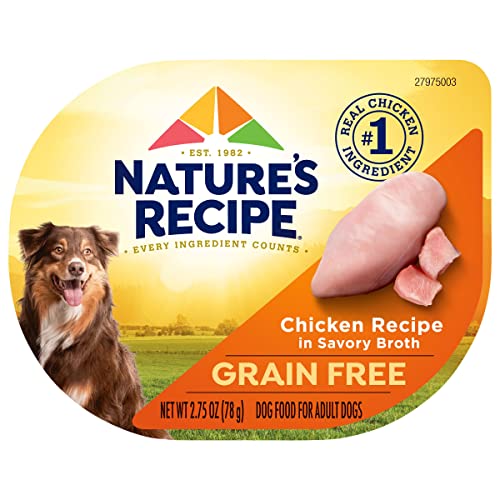 Best Dog Food in the World