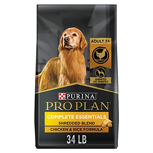 Best Dog Foods for Older Dogs