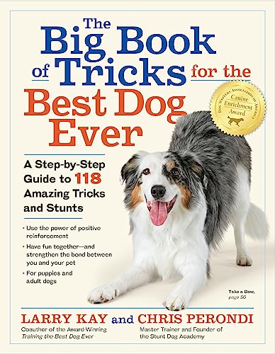 Best Dog for a Beginner