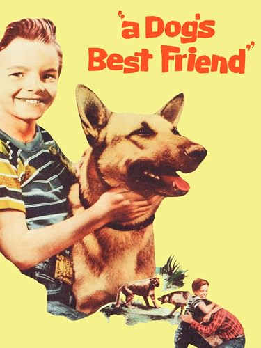 Best Dog for Family