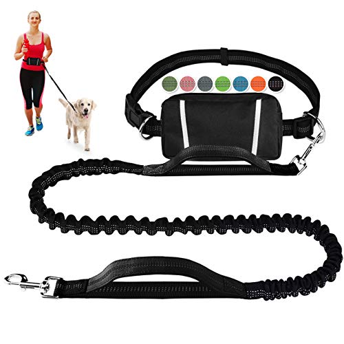 Best Dog for Runners