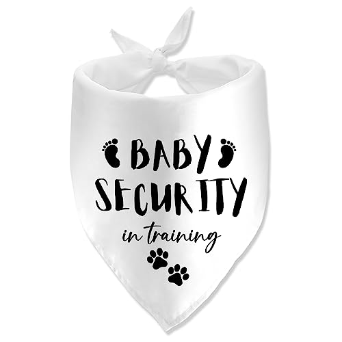 Best Dog for Security And Family