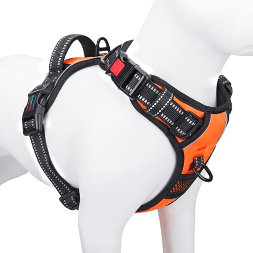 Best Dog Harness for Hiking