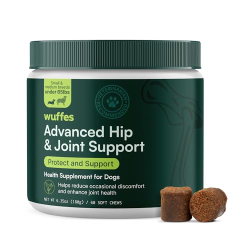 Best Dog Joint Supplement With Green Lipped Mussel